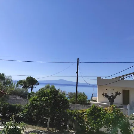 Garden Sea